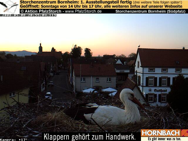 Bild